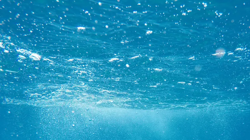 Wasser 