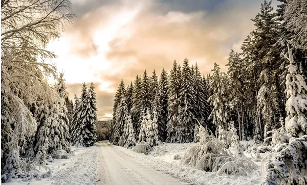 Winter
