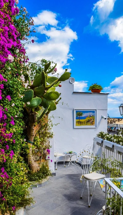 Veranda Umgeben Von Green Cactus Und Pink Bougainvillea