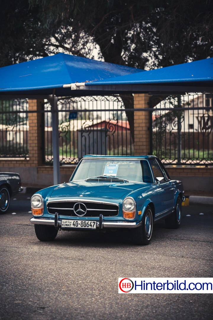 Mercedes W113
