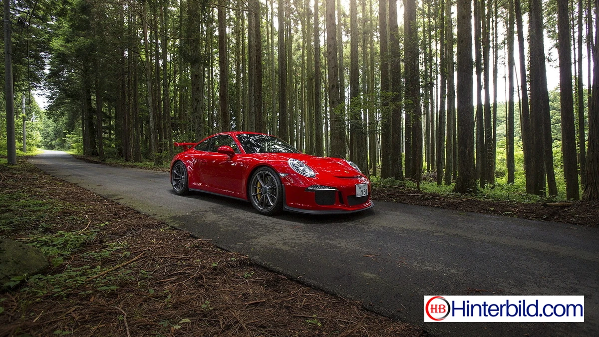 Roter Porsche 911 im Wald