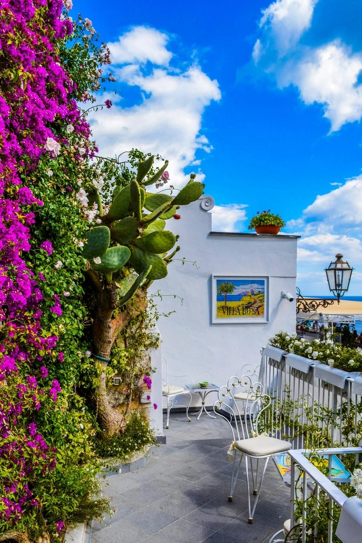 Veranda Umgeben Von Green Cactus Und Pink Bougainvillea hintergrundbild