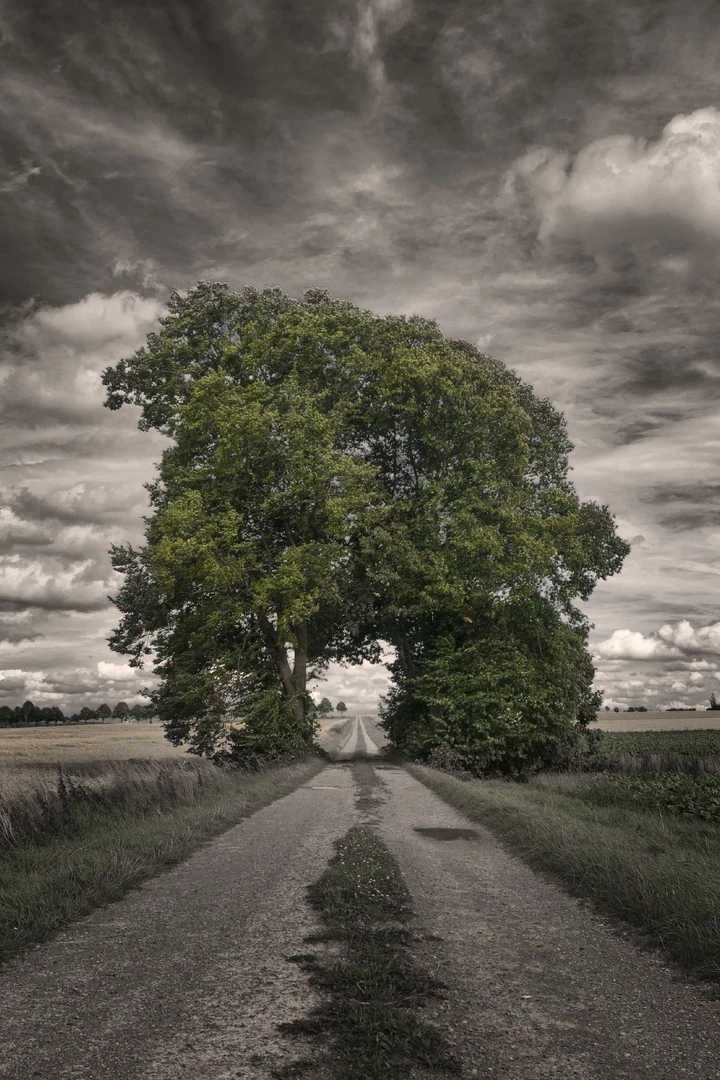 Weg, Bäume und Wolken Schlichtes iPhone Hintergrundbild in 4K kostenlos hintergrundbild
